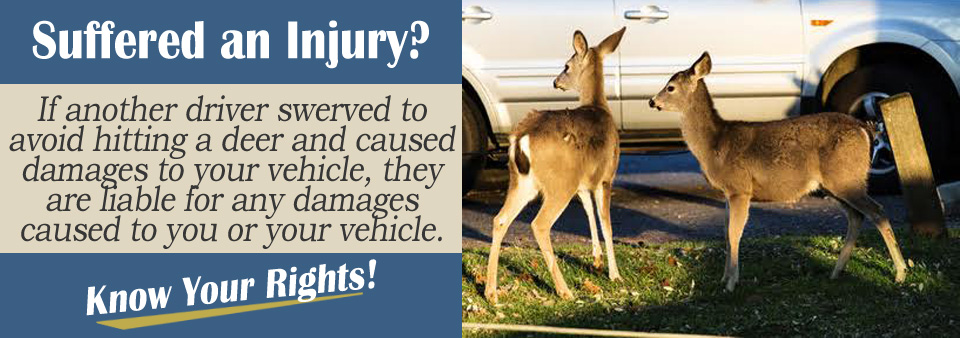  The Other Driver Swerved to Avoid a Deer. Does that Make Them Liable?